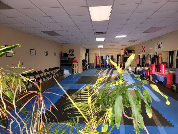 Hueytown Taekwondo Academy Picture 2