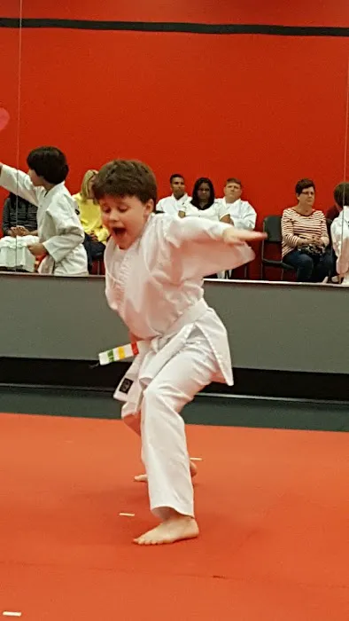ATA Action Martial Arts Picture 3