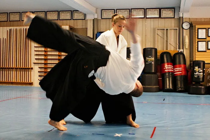 Aikido Alabama Picture 3