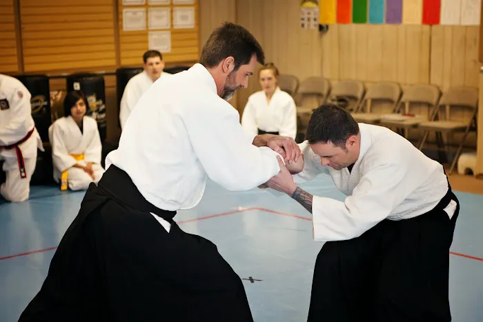 Aikido Alabama Picture 6
