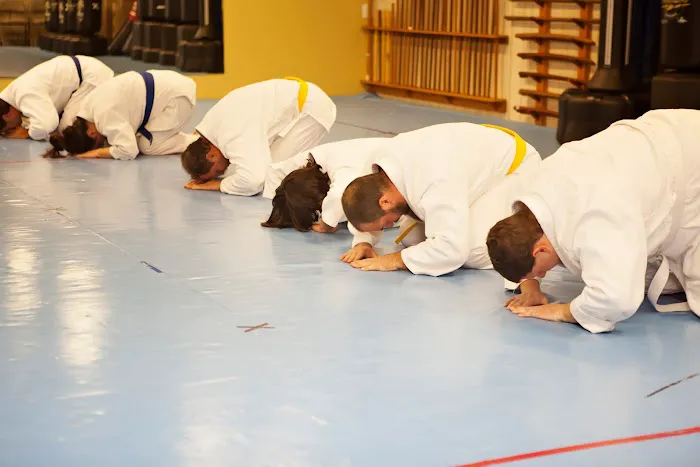 Aikido Alabama Picture 4