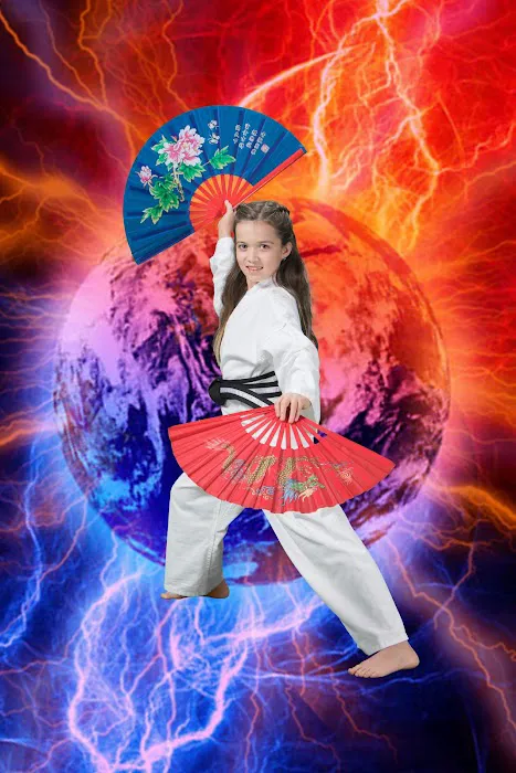 Birmingham Martial Arts - Vestavia Hills / Liberty Park Picture 7