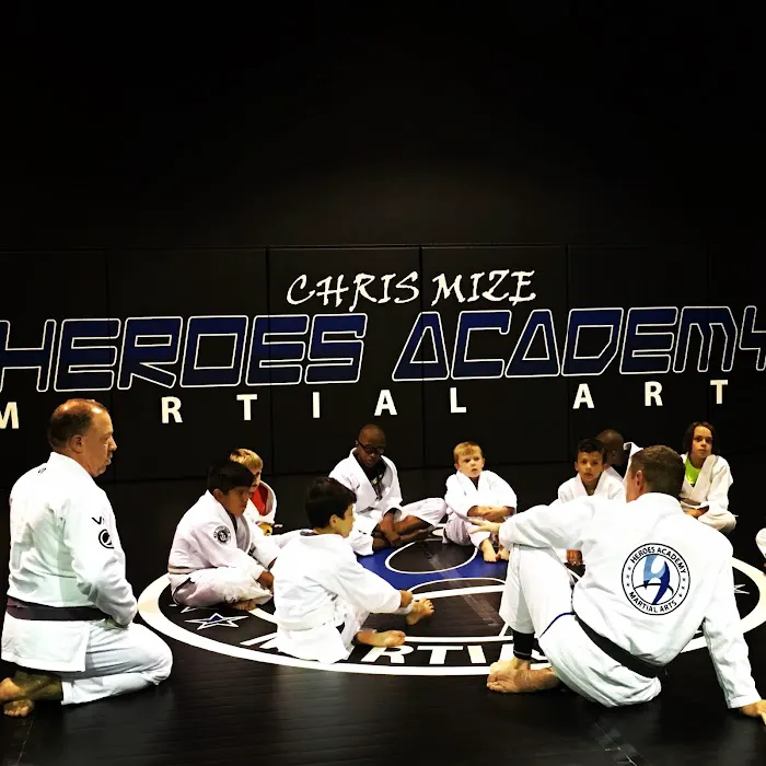 Heroes Martial Arts Academy Trussville Picture 2
