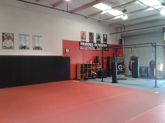 Heroes Martial Arts Academy Trussville Picture 6
