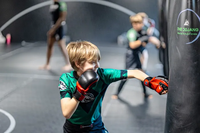 The Dojang Martial Arts & Fitness Picture 2