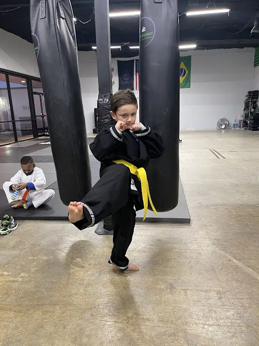The Dojang Martial Arts & Fitness Picture 9