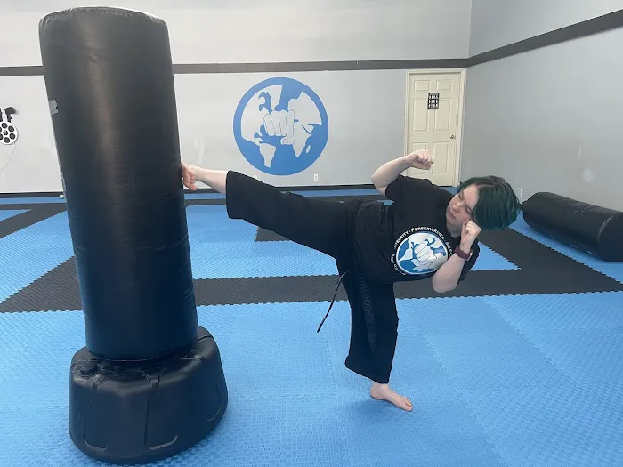 Around The World Martial Arts Picture 2