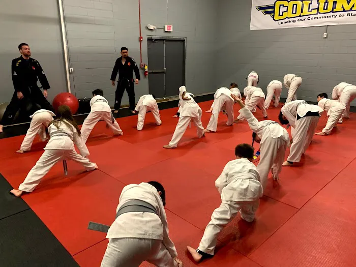 Columbus Martial Arts Academy Picture 5