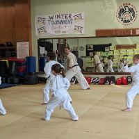 Oyama Karate ico