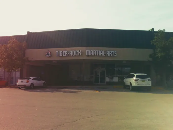 Tiger-Rock Martial Arts Picture 3