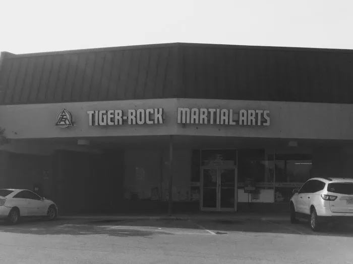 Tiger-Rock Martial Arts Picture 2