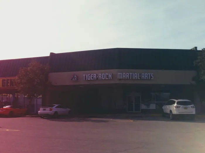 Tiger-Rock Martial Arts Picture 1