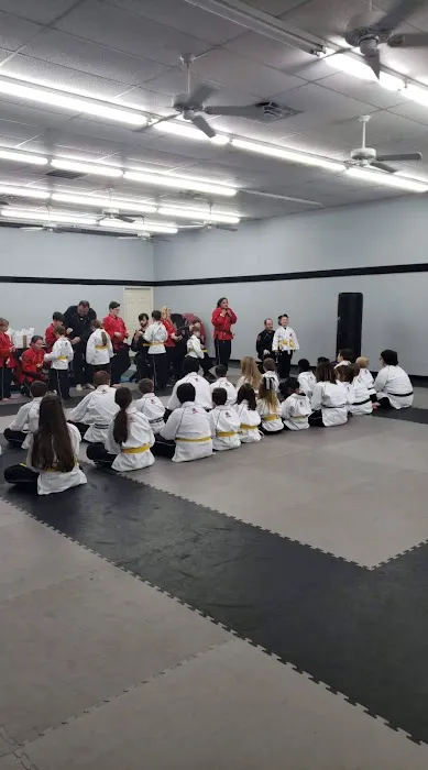 Tiger-Rock Martial Arts Picture 4