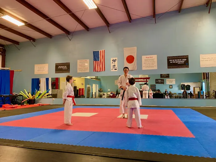 Hirano Ha Karate of Trussville Picture 3