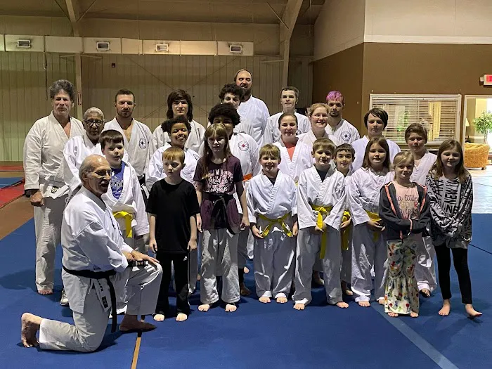 Japan International Karate Center of Pell City Picture 2