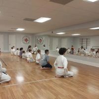 Japan International Karate Center of Pell City ico