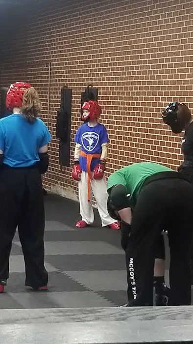 McCoy's Taekwondo America Picture 2