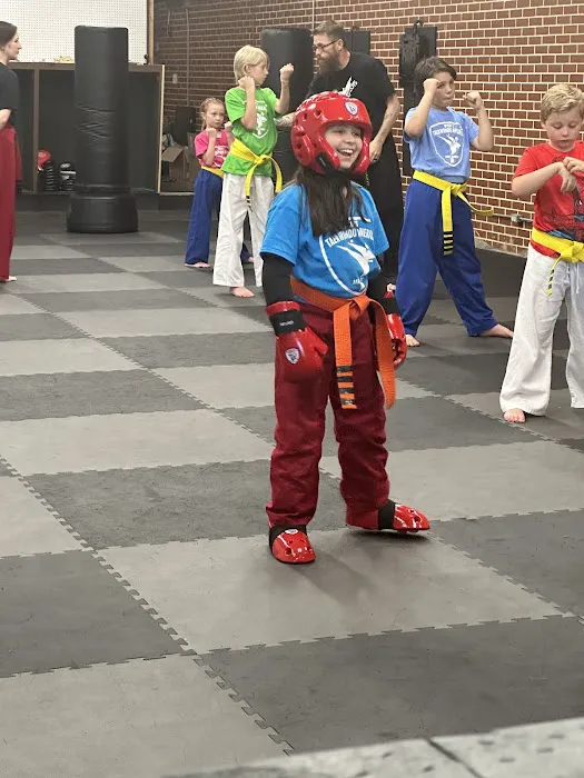 McCoy's Taekwondo America Picture 5