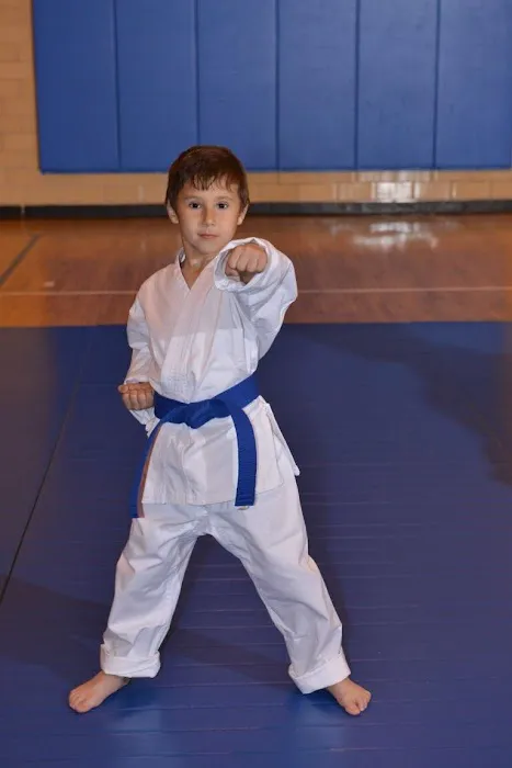 Shotokan Karate Studio LLC Picture 2