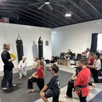 Titans Martial Arts Academy ico