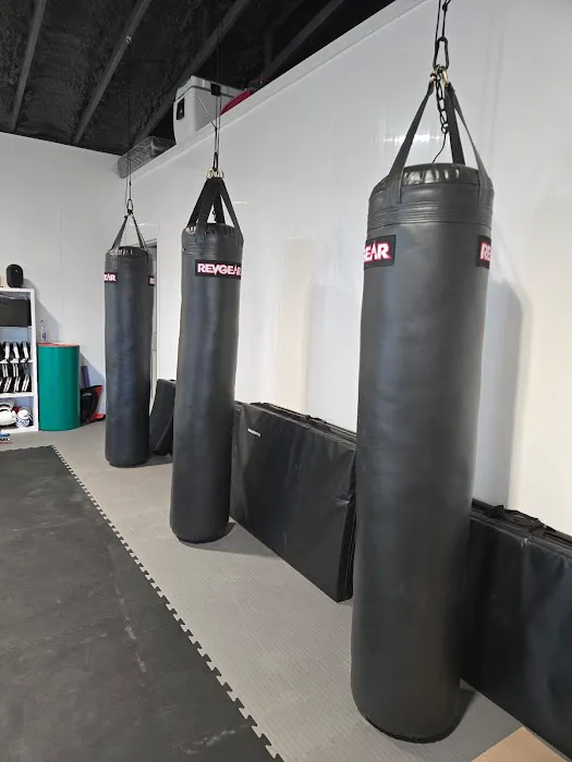 Titans Martial Arts Academy Picture 4