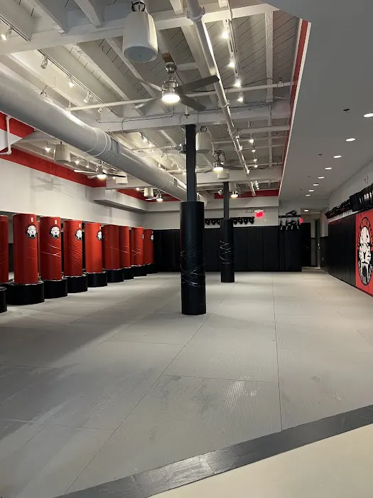 Tiger Schulmann's Martial Arts (Short Hills, NJ) Picture 1