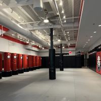 Tiger Schulmann's Martial Arts (Short Hills, NJ) ico