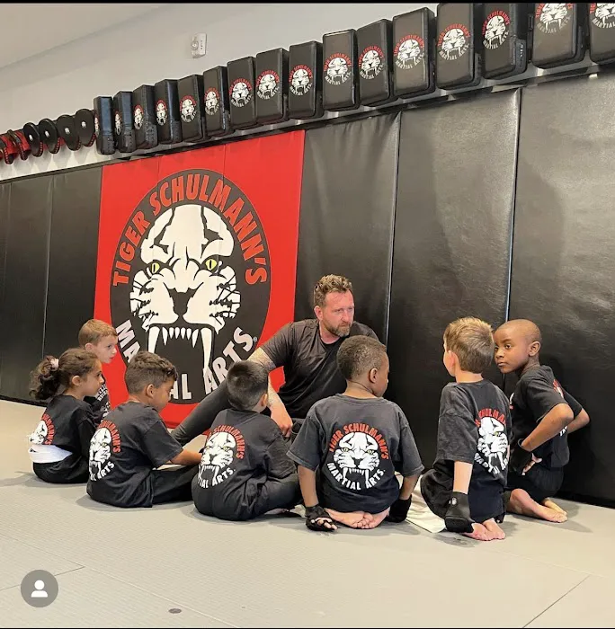 Tiger Schulmann's Martial Arts (Short Hills, NJ) Picture 7