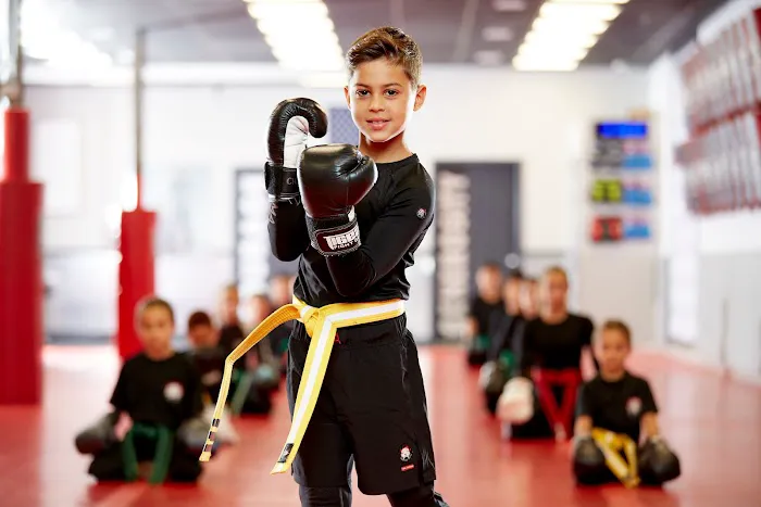 Tiger Schulmann's Martial Arts (Short Hills, NJ) Picture 8