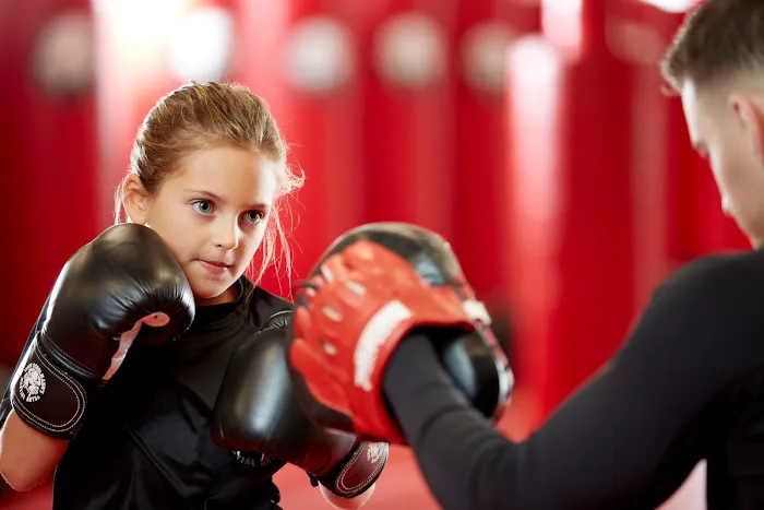 Tiger Schulmann's Martial Arts (Short Hills, NJ) Picture 2
