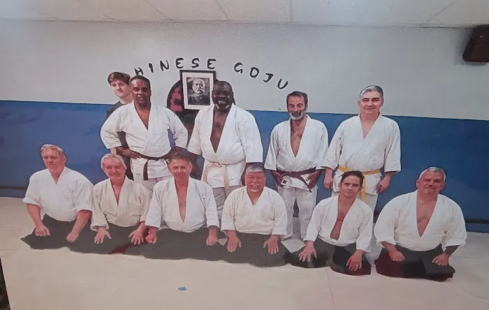 Aikido of Nassau County Inc Picture 3