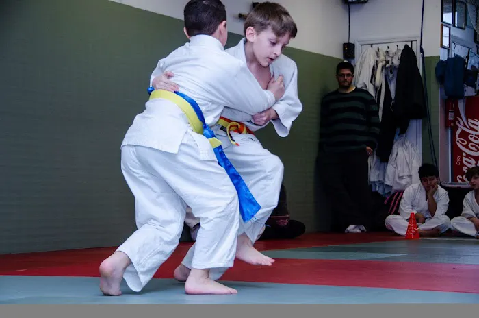 Staten Island Judo Jujitsu Dojo Picture 5