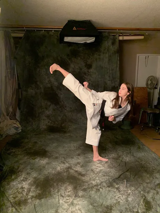 Greenlee's Taekwondo & Hideout Picture 8