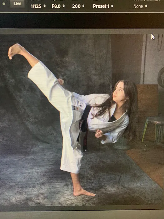 Greenlee's Taekwondo & Hideout Picture 5