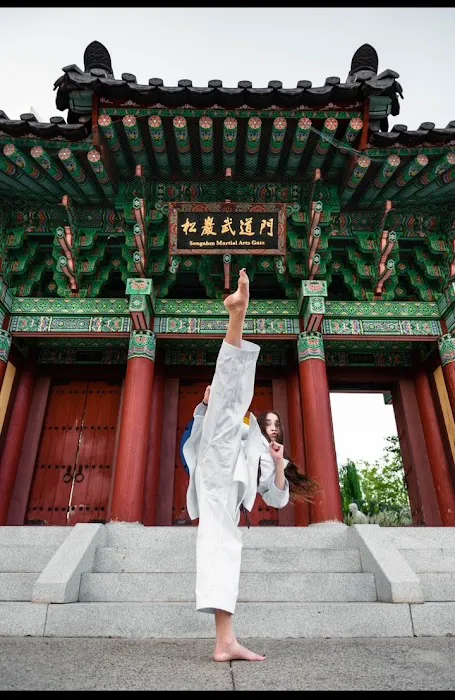 Greenlee's Taekwondo & Hideout Picture 9