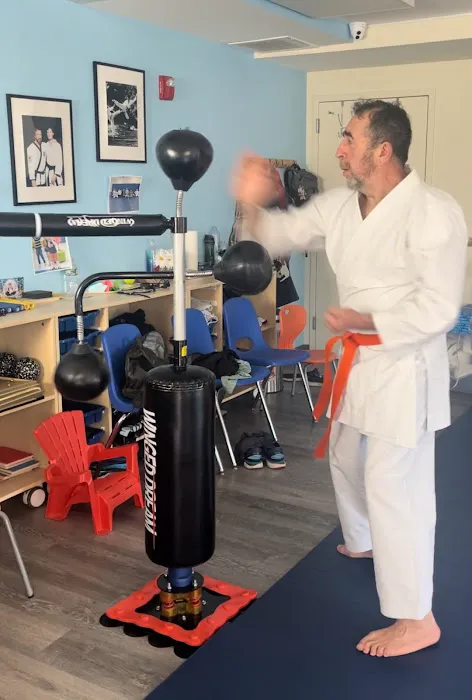 YourKarate.today Picture 6