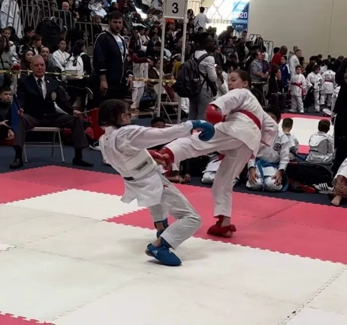 Golden Fleece Karate Club Picture 8