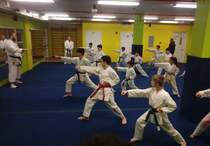 Golden Fleece Karate Club Picture 4