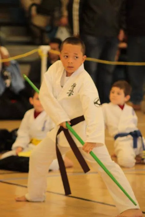 5 Dragons Karate Go Ryu Karate-do Picture 4
