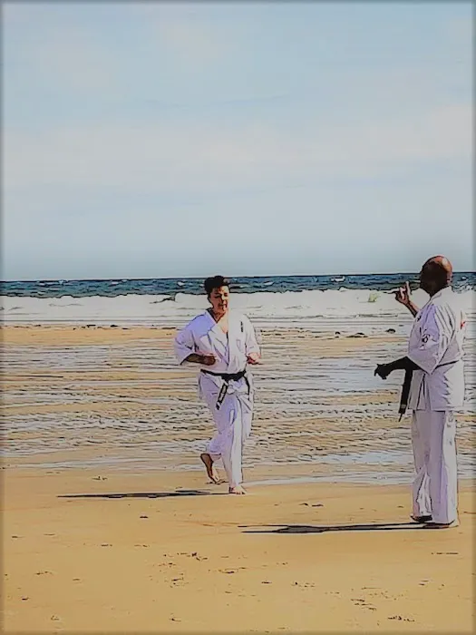 5 Dragons Karate Go Ryu Karate-do Picture 5