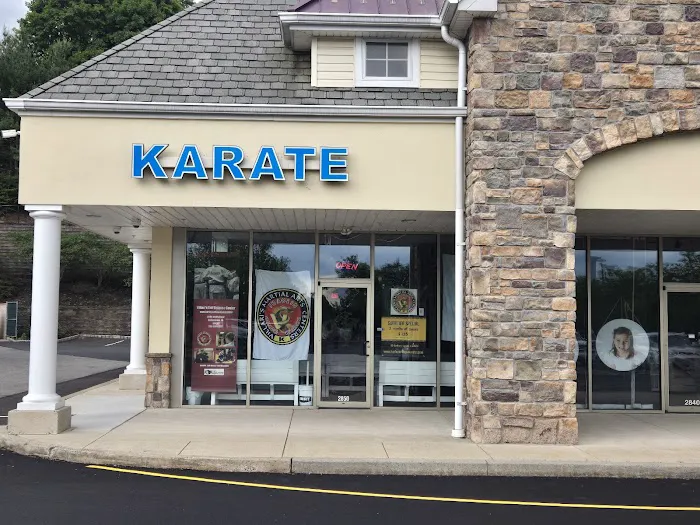 Villari's Self Defense Center Picture 4