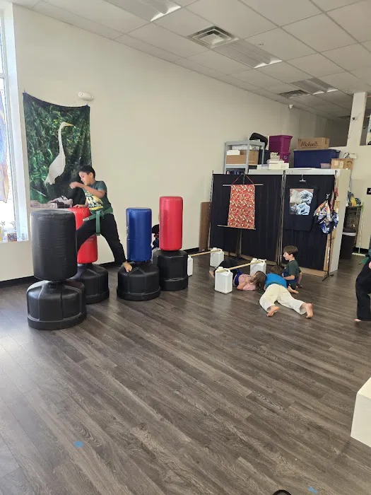 Villari's Self Defense Center Picture 8