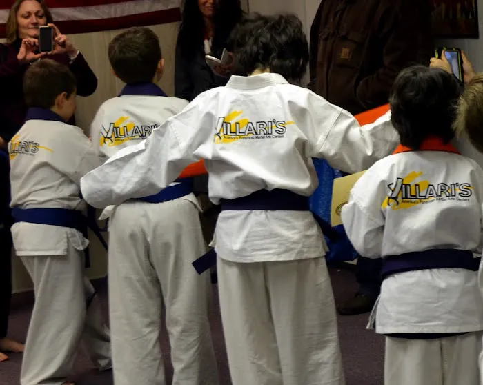 Villari's Self Defense Center Picture 1