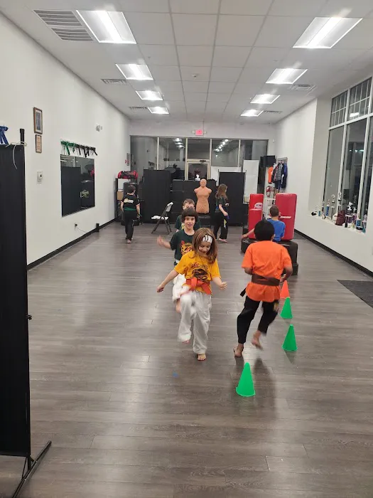 Villari's Self Defense Center Picture 7