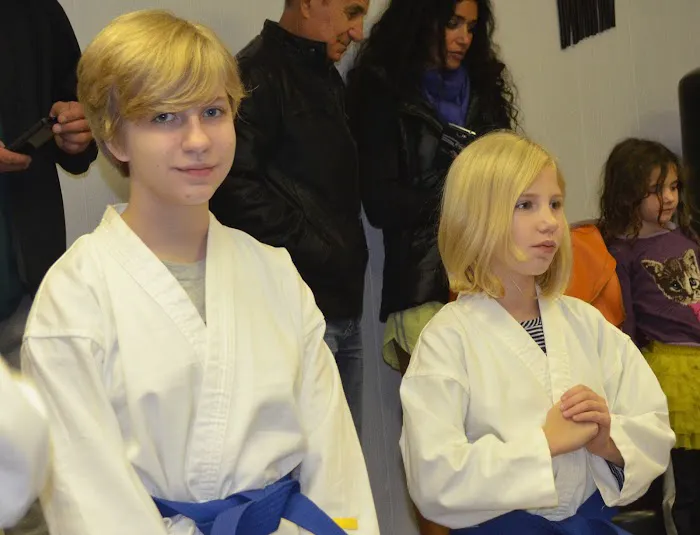 Villari's Self Defense Center Picture 5