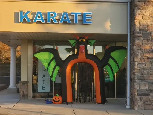 Villari's Self Defense Center Picture 10