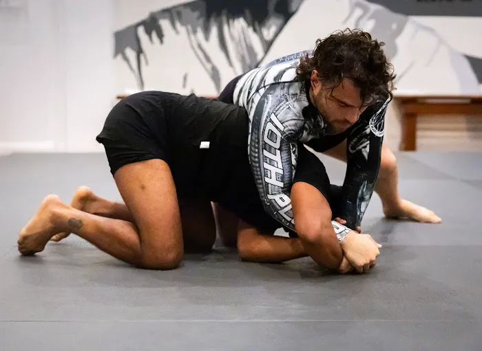 Vuk Jiu-Jitsu Picture 4