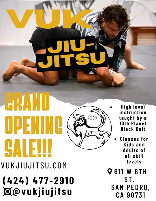 Vuk Jiu-Jitsu Picture 5