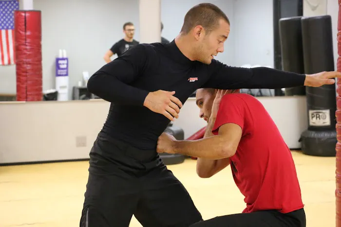 Yano Wing Chun Picture 3