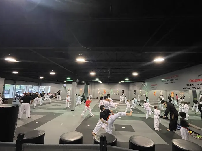Ali’s Martial Arts ATA Picture 9